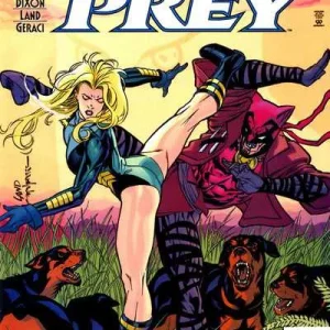 Birds of Prey #3 (1999) cover art