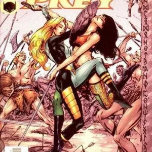 Birds of Prey #30 (2001)