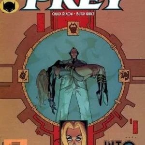 Birds of Prey #34 (2001)