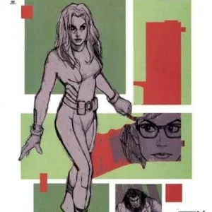 Birds of Prey #39 (2002)