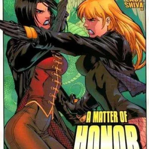 Birds of Prey #63 (2004)