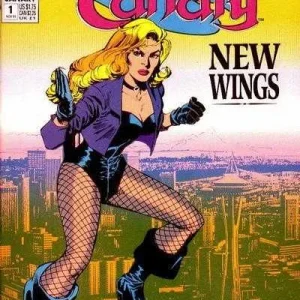 Black Canary #1 (1991) cover art