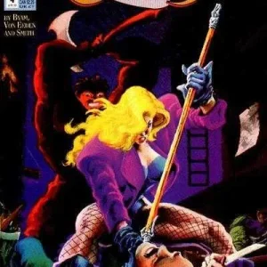 Black Canary #4 (1993) cover art