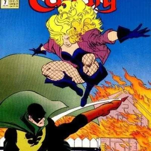 Black Canary #7 (1993) cover art