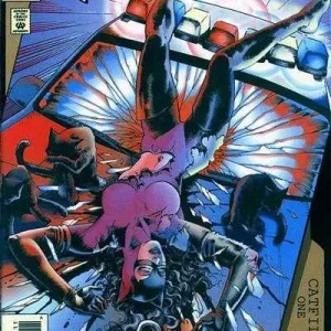 Catwoman #15 (1993) cover art