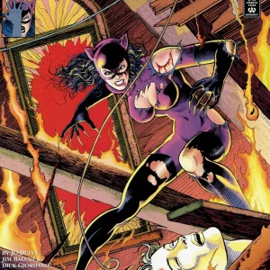 Catwoman #2 (1993) cover art