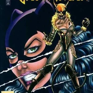 Catwoman #43 (1993) cover art