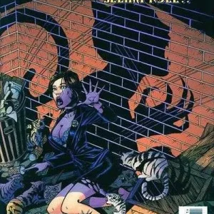 Catwoman #70 (1993) cover art