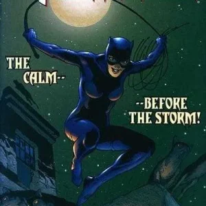 Catwoman #78 (1993) cover art