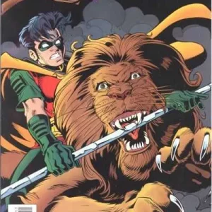 Robin #20 (1993) cover art