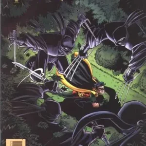 Robin #22 (1993) cover art