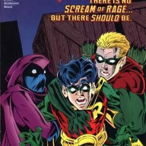 Robin #25 (1993) cover art