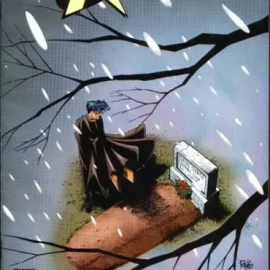 Robin #26 (1993) cover art