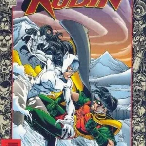 Robin #27 (1993) cover art