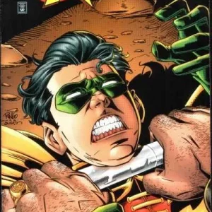 Robin #29 (1993) cover art