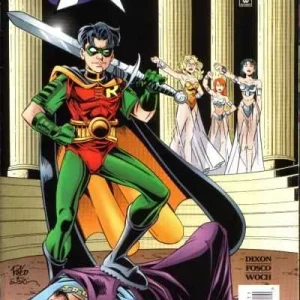Robin #30 (1993) cover art