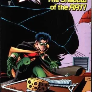 Robin #43 (1993) cover art