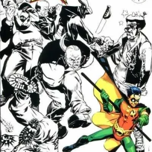 Robin #45 (1993) cover art
