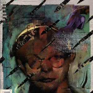 Black Orchid #13 (1993) cover art