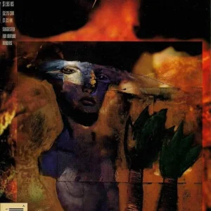 Black Orchid #16 (1993) cover art