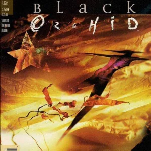 Black Orchid #17 (1993) cover art