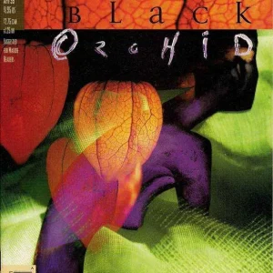 Black Orchid #20 (1993) cover art