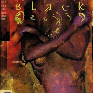 Black Orchid #22 (1993) cover art