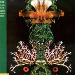 Black Orchid #5 (1993) cover art